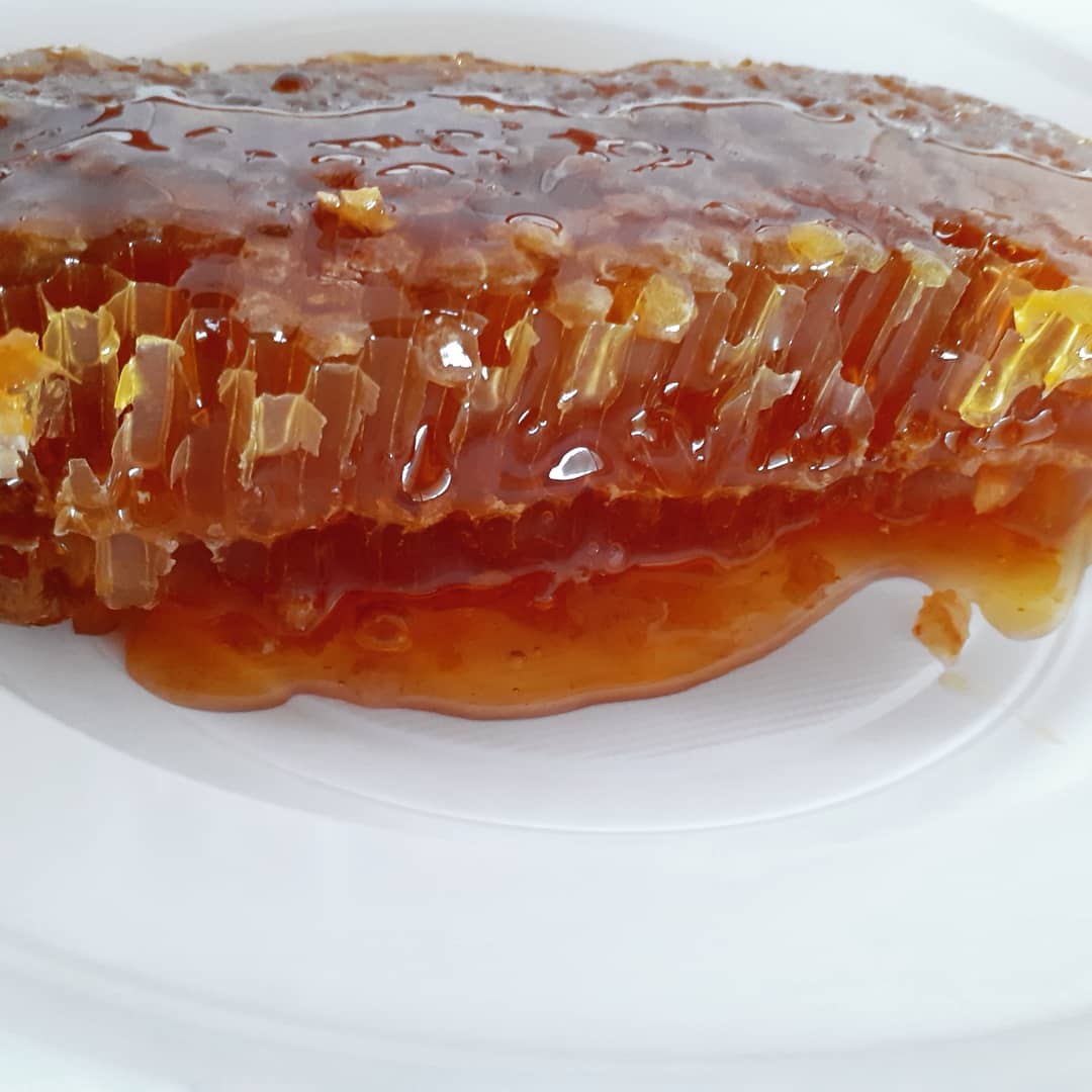 Terre di Miele - Apicoltura siciliana