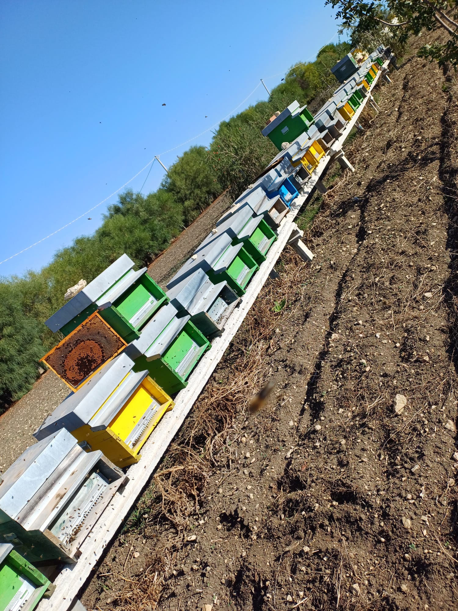 Terre di Miele - I nostri prodotti