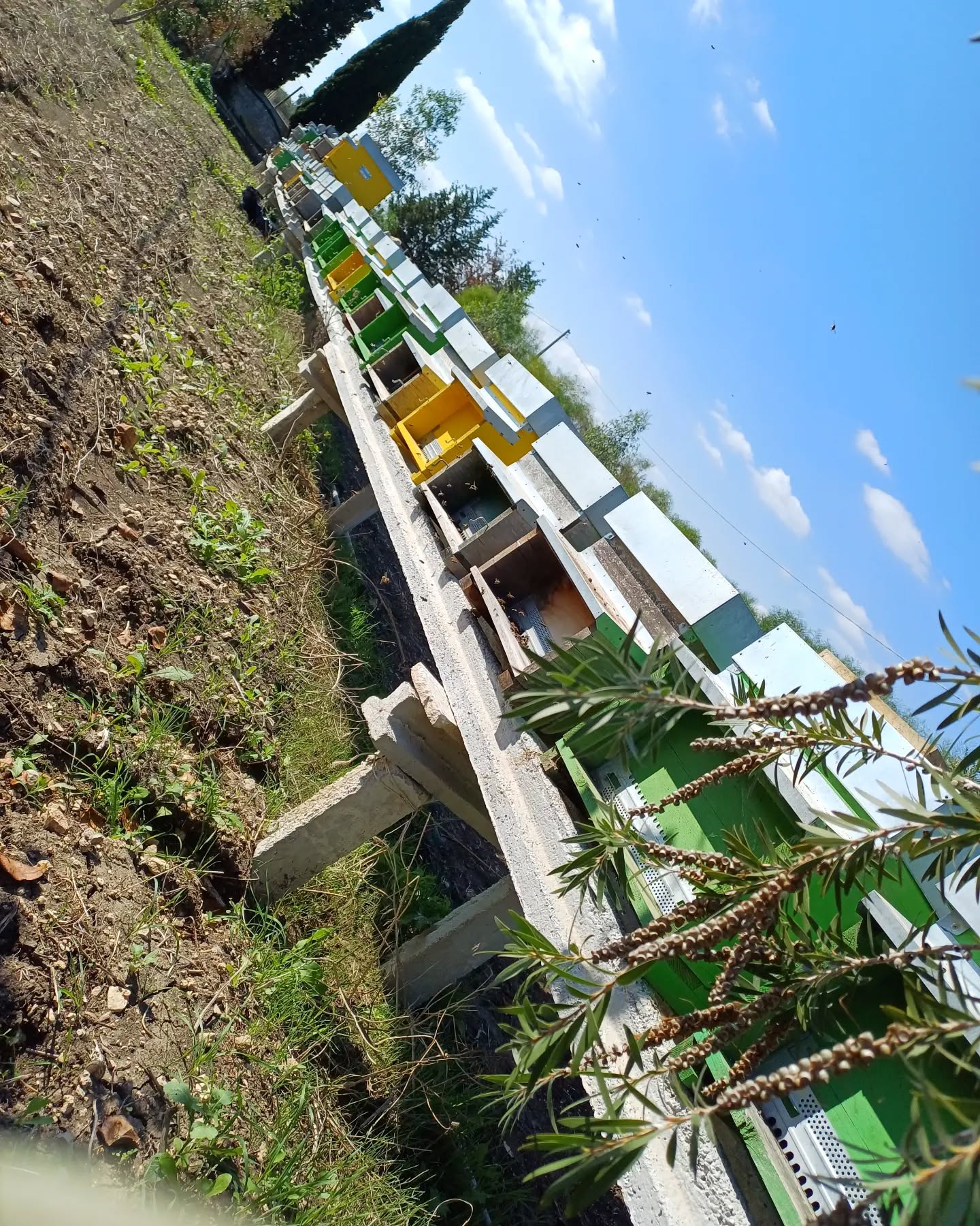 Terre di Miele - Salvatore La Greca